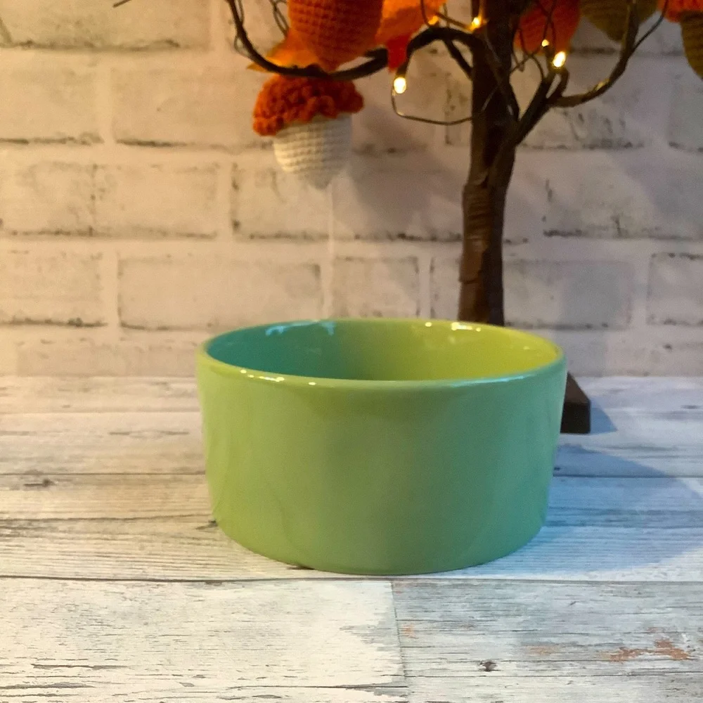 Rae Dunn Ceramic Turkey Tester Pet Bowl